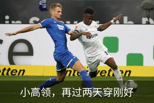 小高领，再过两天穿刚好