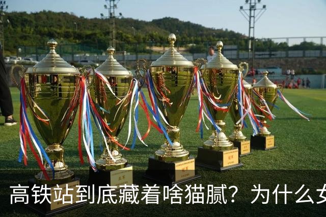 高铁站到底藏着啥猫腻？为什么女乘务员纷纷离职？内幕终被揭开